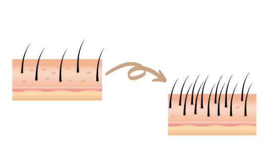 کوکتل مزوتراپی رویتاکر، خرید رویتاکر، قیمت کوکتل رویتاکر هیر کر
